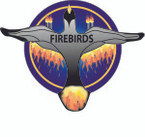 STICKER USN VF 66 FIGHTER SQUADRON FIREBIRDS