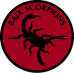 STICKER USAF AIR FORCE BAJA SCORPIONS O