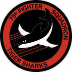 STICKER USAF 75th Fighter Squadron
