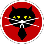 STICKER USAF   5TH RECONNAISSANCE SQUADRON CAT