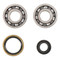 Crank Bearings & Seal Kit KTM SX 50 2013>