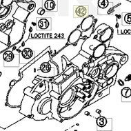 ENGINE CASE GASKET (59030039200) (59030039200)