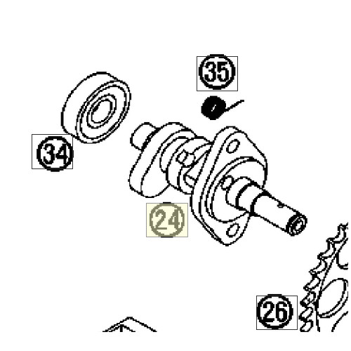 CAMSHAFT 590/5521 2000 | 2000 (59036010000) (59036010000)