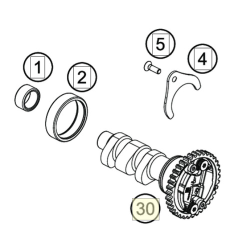 Camshaft cmpl. (76636010444) (76636010444)