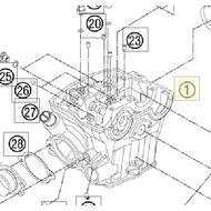 CYLINDER HEAD CPL. (77336020344) (77336020344)