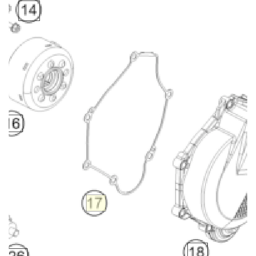 Ignition cover gasket (A42030040000)