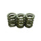 Nihilo KTM Husqvarna 50 HD Clutch Springs 