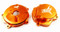 KTM 65 Clutch & Stator Cover - Orange Buy 1 get 1 1/2 Price! 