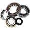 Crank Bearings & Seal Kit KTM SX 50 2002-08 (Generic picture)