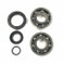 Crank Bearings & Seal Kit KTM SX 50 2010>