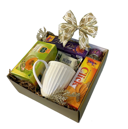 Indian Gifts to Boston & USA