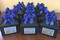 Welcome Hotel gifts