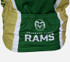 Colorado State Rams Bike Jersey - Zoom Back