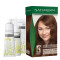 Naturigin Box Hair Colour 6.34 Dark Copper