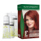 Naturigin Box Hair Colour 7.55 Intense Red