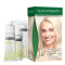 Naturigin Box Hair Colour 11.2 Extreme Ash Blonde