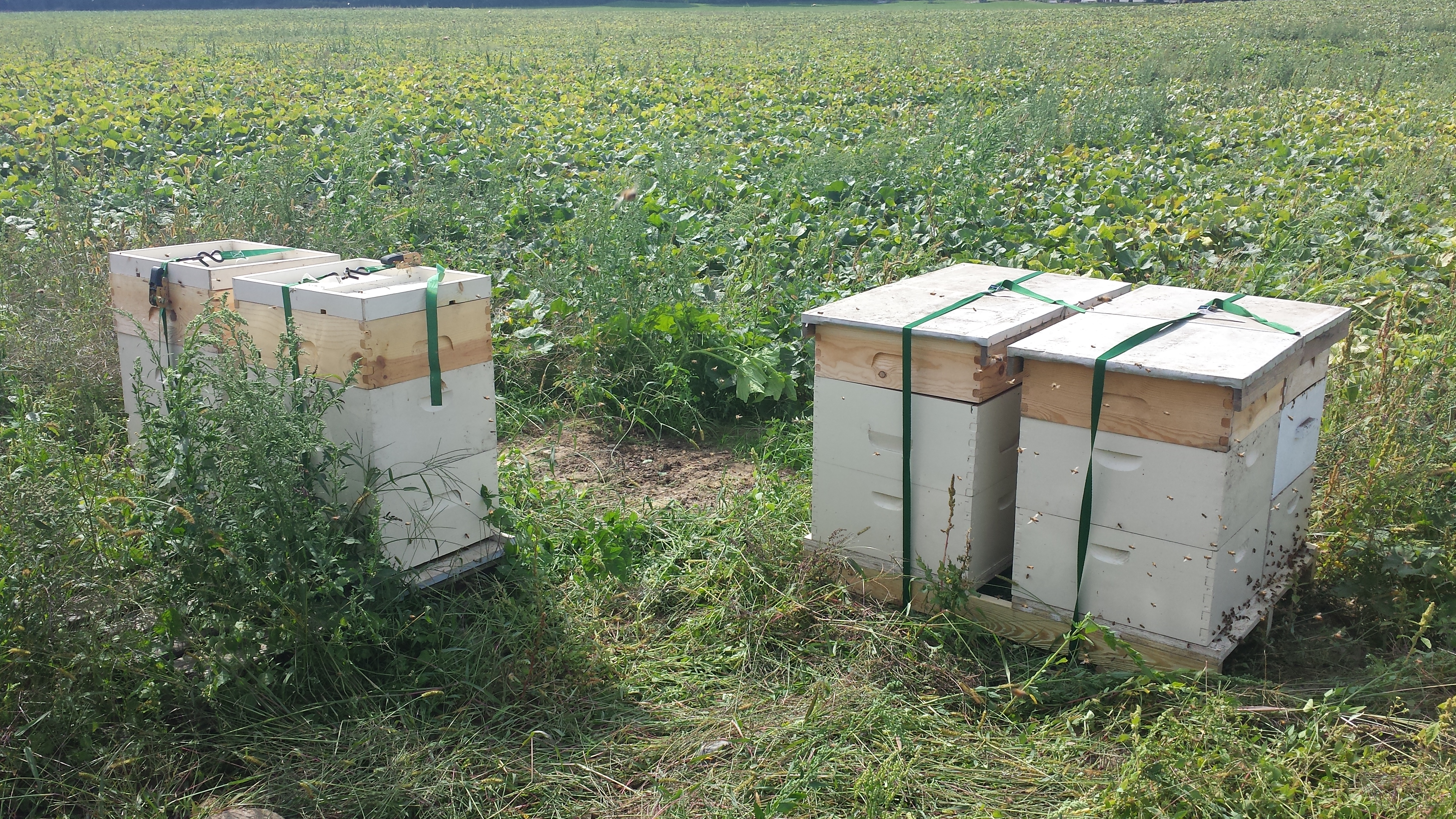 20140920-134826.jpg