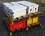 Live Honey Bees, 5 Frame Nuc, Spring 2025