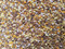 Fall Pollen