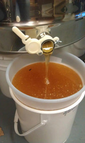 Local Raw Honey in a 5 Gal. Pail, 60 lbs