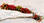 Fragrance Garden Bracelet
