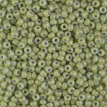 Japanese Miyuki Seed Beads, size 8/0, SKU 189008.MY8-4473, duracoat dyed opaque fennel, (1 26-28 gram tube, apprx 1120 beads)