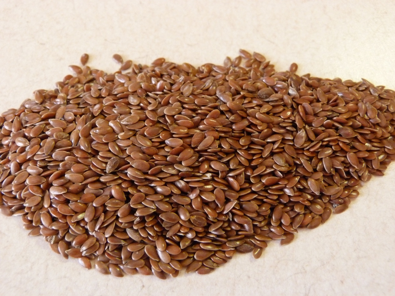 Just Grown Raw Flax Seeds, BULK 50 lbs. Whole And Natural
