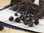 Brookside Dark Chocolate Acai and Blueberry