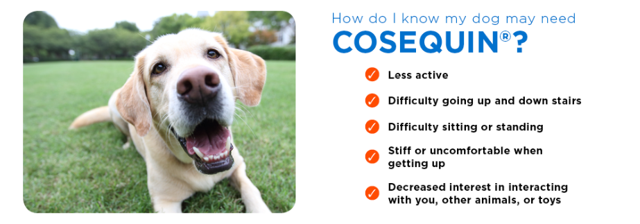 cosequin for dogs 180 tablets