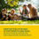Ricola Original Natural Herb Cough Drops 4