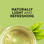 Lipton Tea Bags 100% Natural Green Tea, 40 