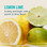 Liquid I.V. Hydration Multiplier Lemon Lime Electrolyte Drink Mix