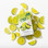 True Citrus Drink Mix Packets Bundle – Crystallized Lemon & Lime Water Flavor Enhancer (100 Count