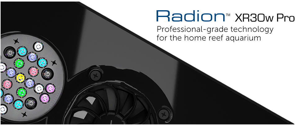 radion xr30w radion xr30w