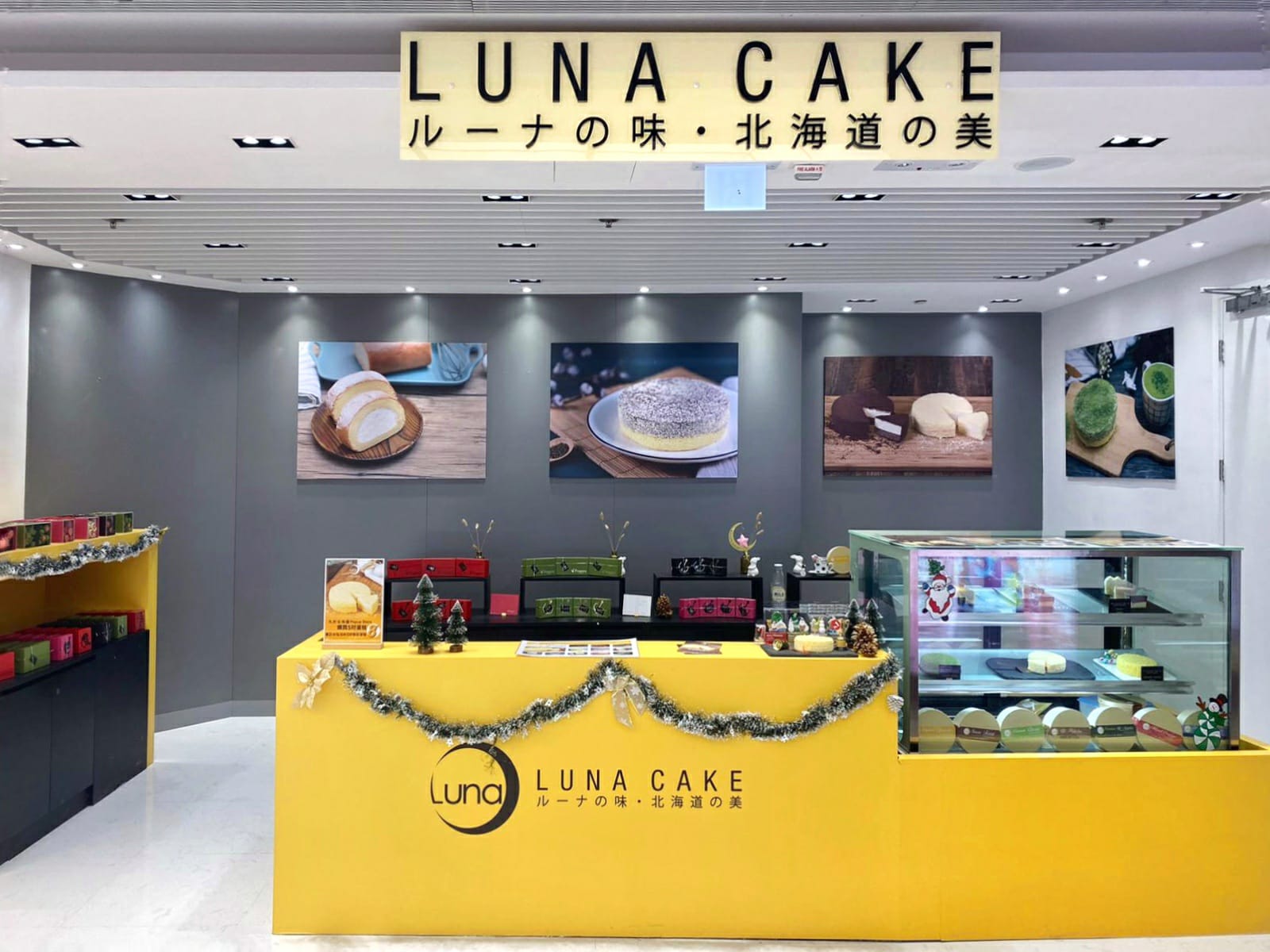 luna-cake-np-2-.jpeg luna-cake-np-2-.jpeg