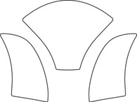 Ninja 1000 Tank Protector