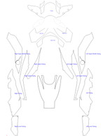 S1000XR Total Protection Kit