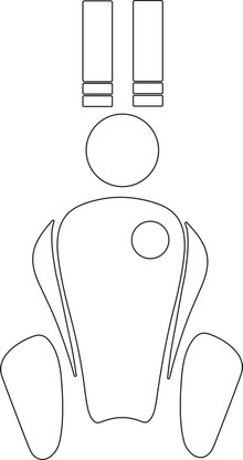 Protection for the entire tank top, sides of the tank, headlight and front facing portion of the fork tubes.
