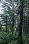 Image 3 Image 3