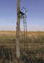 Image 2 Image 2