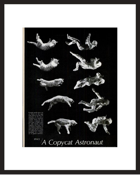 LIFE Magazine - Framed Historic Photograph - Astronaut & Cat