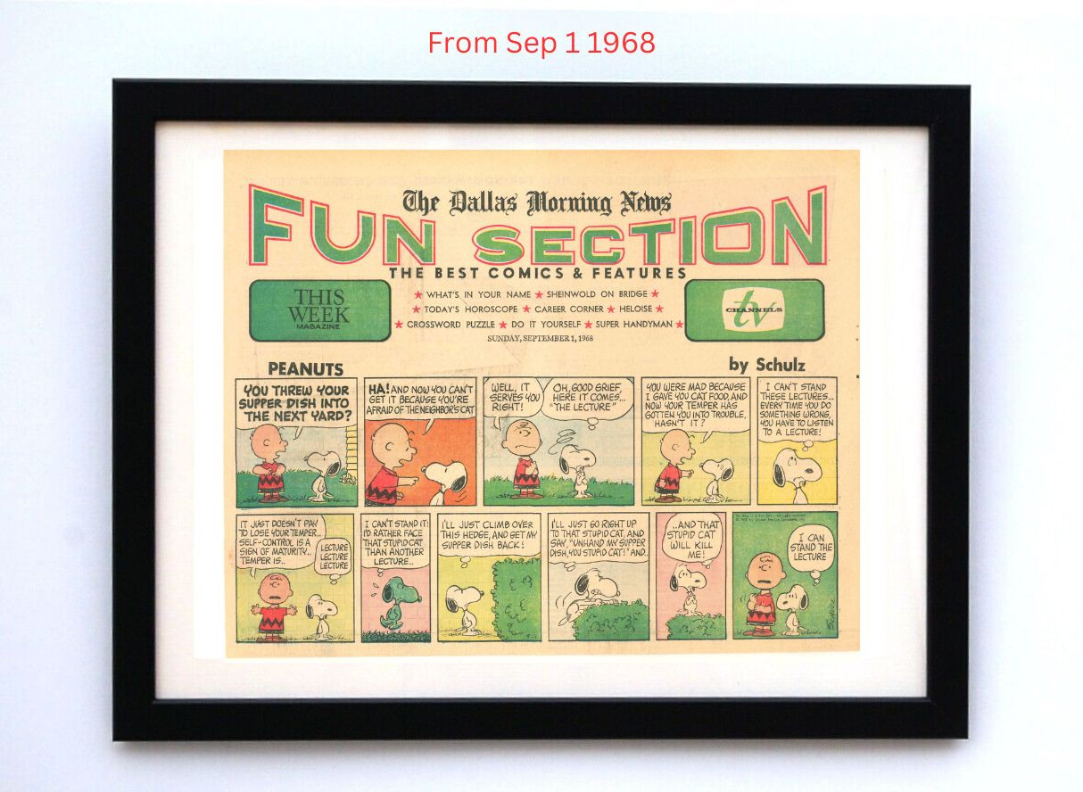 Peanuts by Charles Schultz - Framed Vintage Charlie Brown Comics