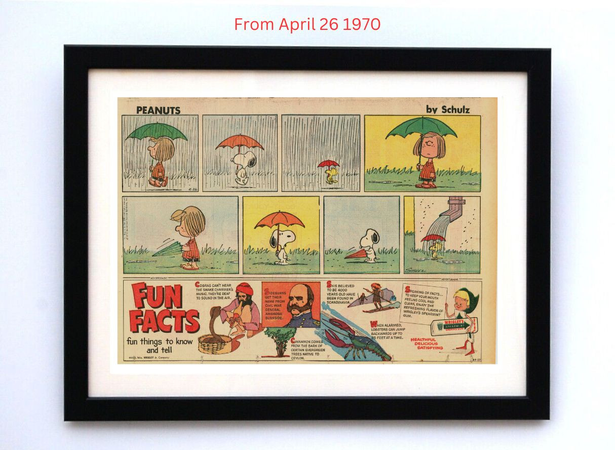 Peanuts by Charles Schultz - Framed Vintage Charlie Brown Comics