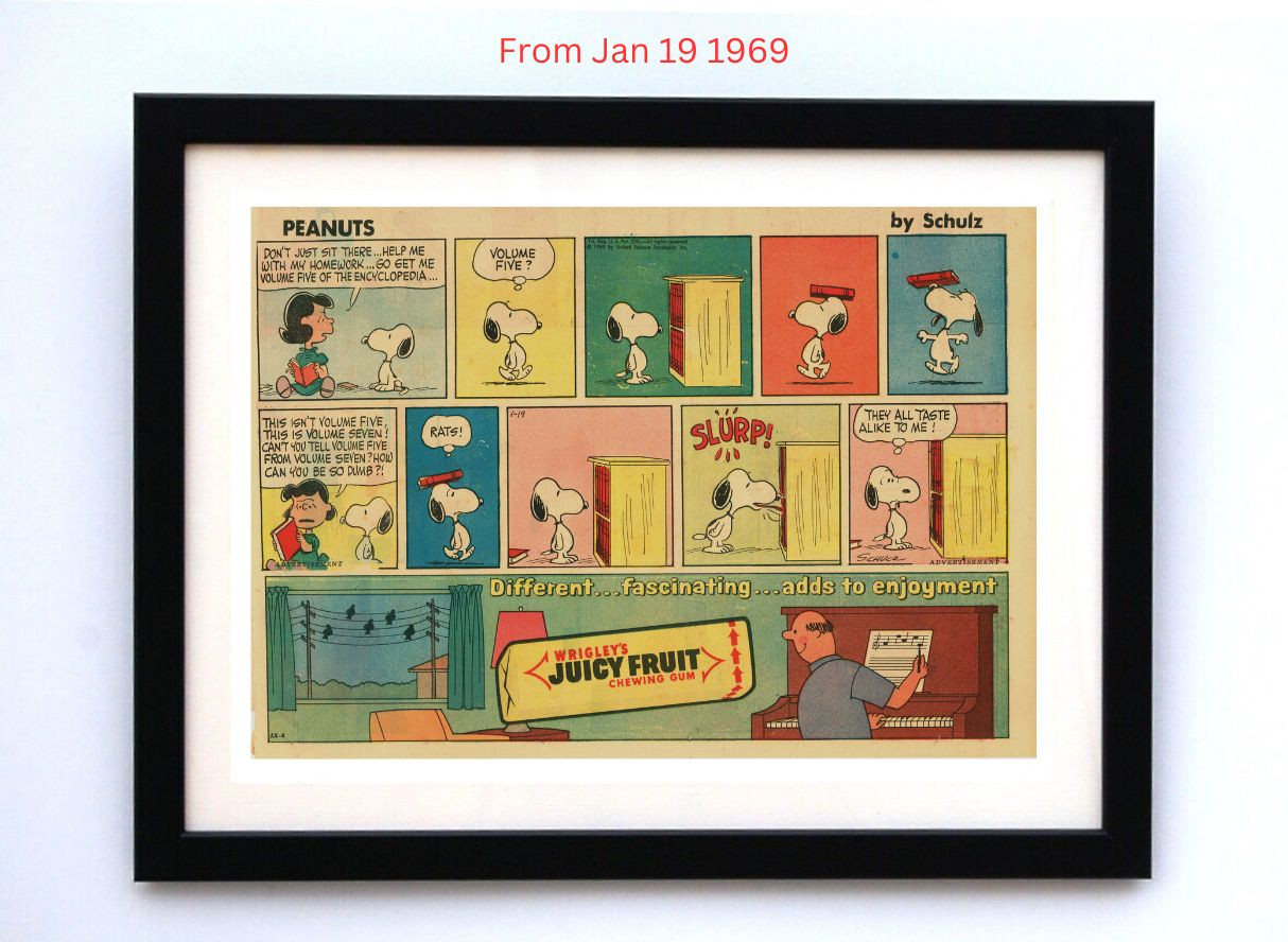 Peanuts by Charles Schultz - Framed Vintage Charlie Brown Comics