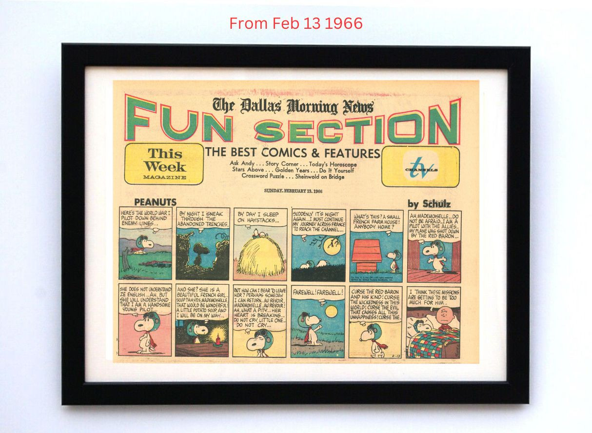 Peanuts by Charles Schultz - Framed Vintage Charlie Brown Comics