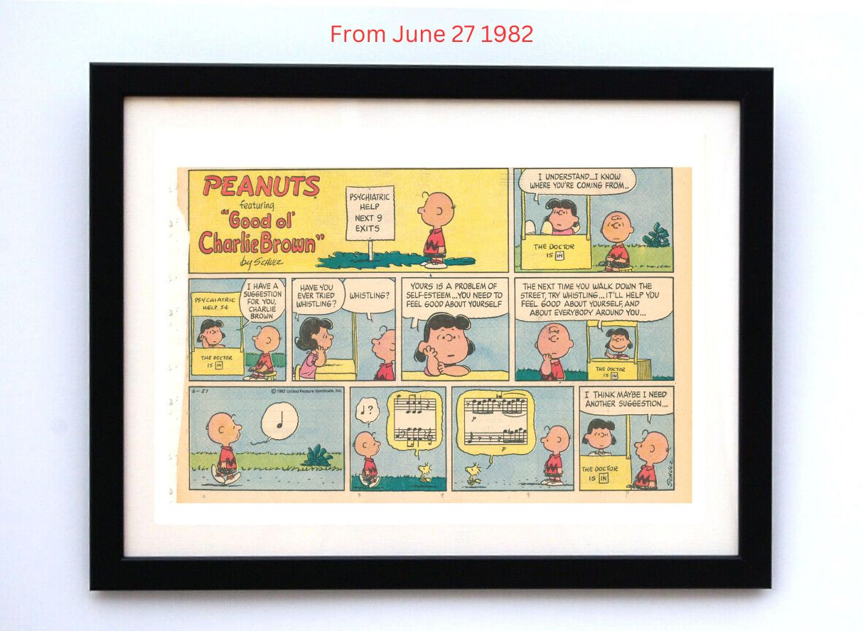Peanuts by Charles Schultz - Framed Vintage Charlie Brown Comics
