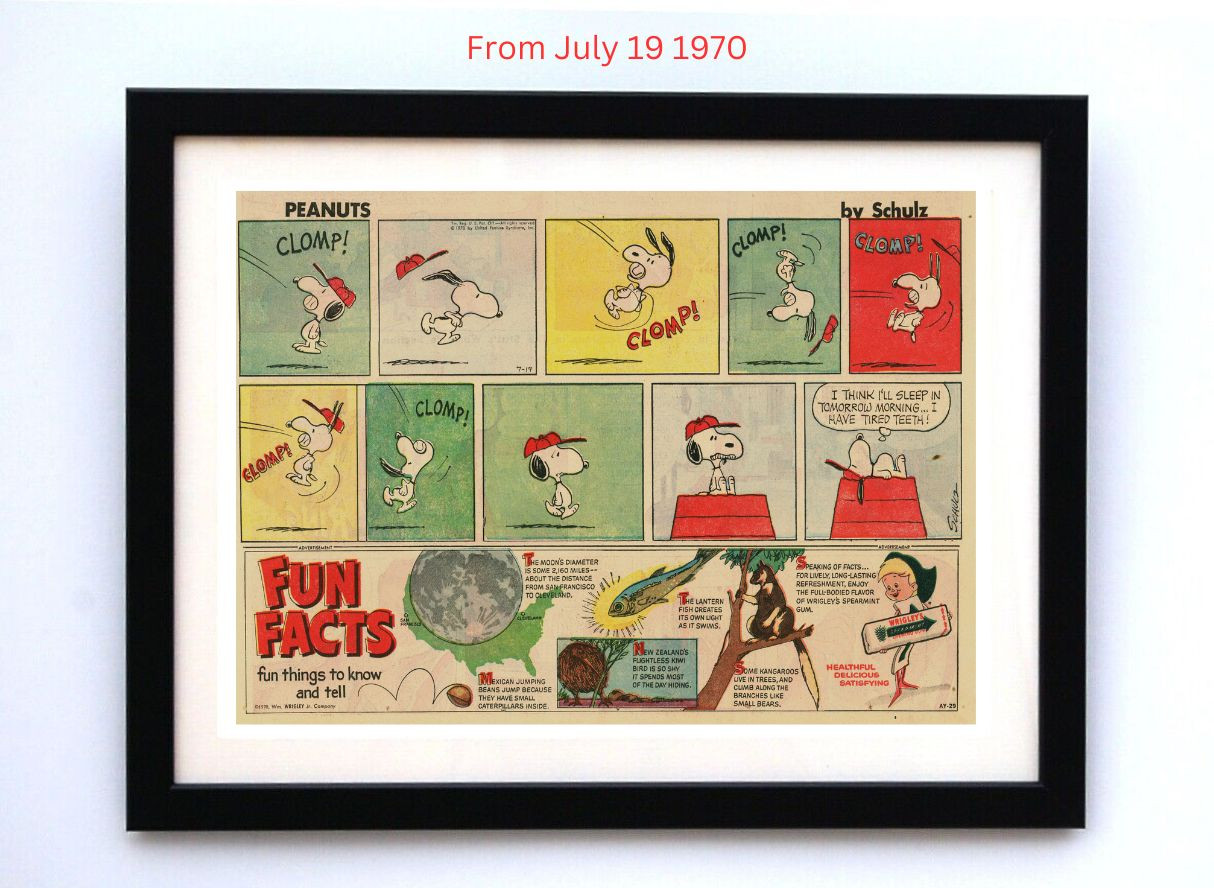 Peanuts by Charles Schultz - Framed Vintage Charlie Brown Comics