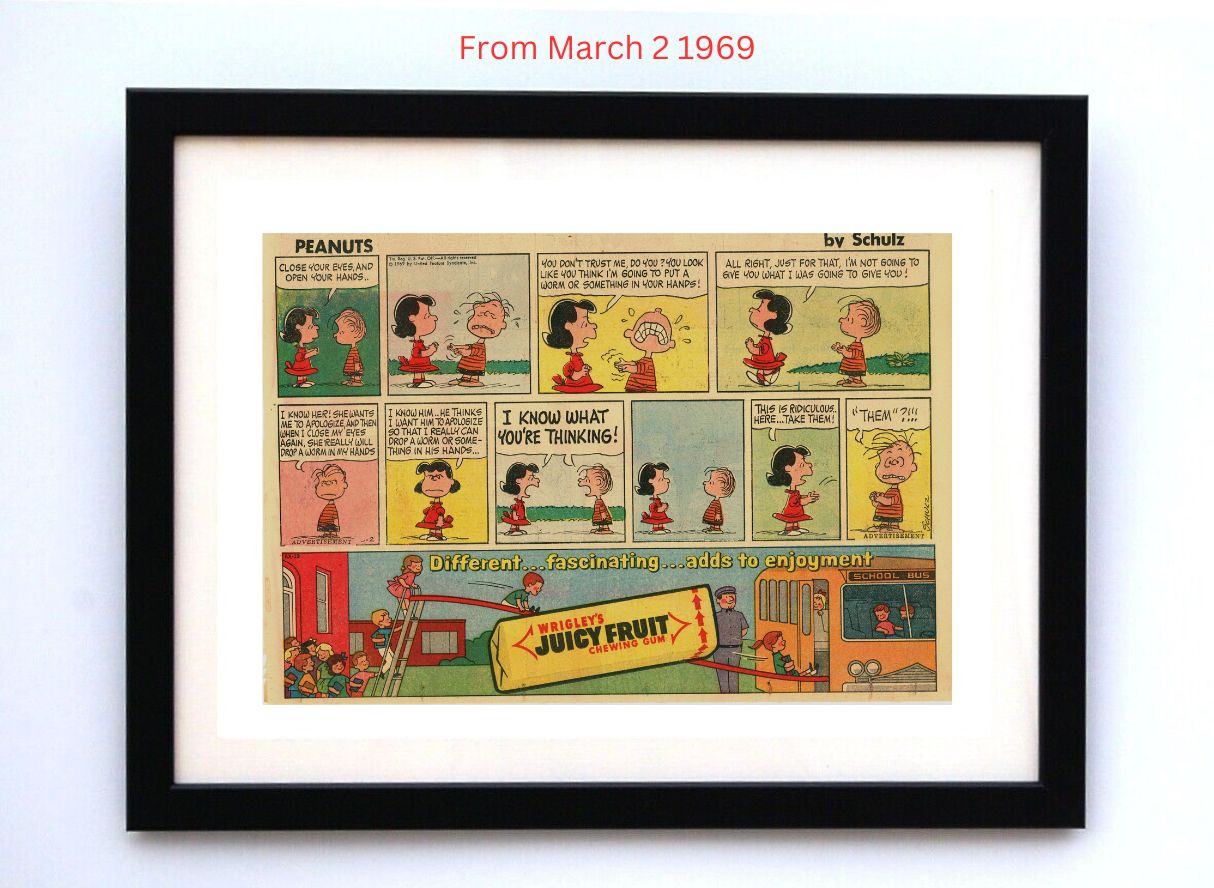 Peanuts by Charles Schultz - Framed Vintage Charlie Brown Comics