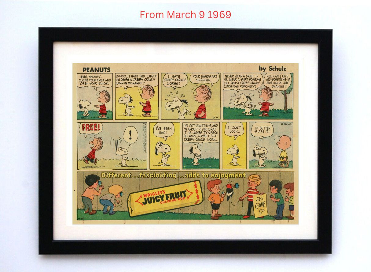 Peanuts by Charles Schultz - Framed Vintage Charlie Brown Comics