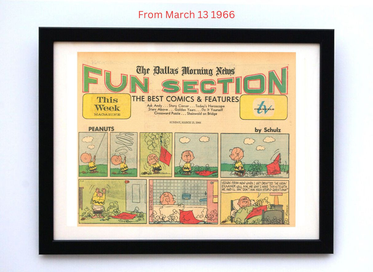 Peanuts by Charles Schultz - Framed Vintage Charlie Brown Comics